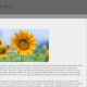 CSS Media Queries