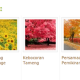 Membuat Artikel/Posting Terkait dengan Gambar/Thumbnail