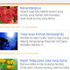Widget Recent Post dengan Preloader