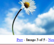 JavaScript Slideshow Dasar