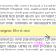 UPDATE :: jQuery Toolpik Revision 1