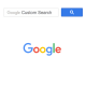 Google Custom Search API