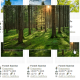 JavaScript Image Trail Tooltip