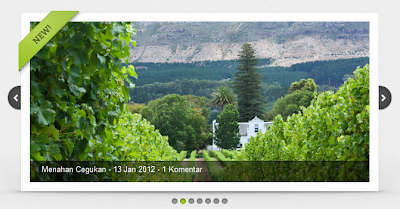 Slideshow Otomatis Blogger dengan SLIDES